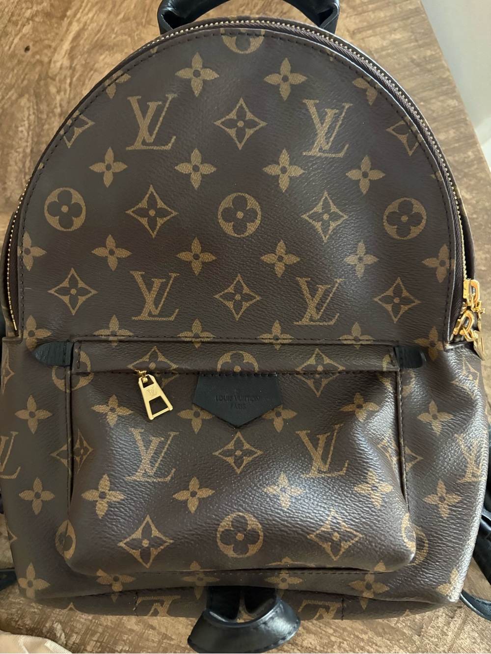 Louis Vuitton Monogram Canvas Palm Springs Backpack PM - Picture 4 of 16
